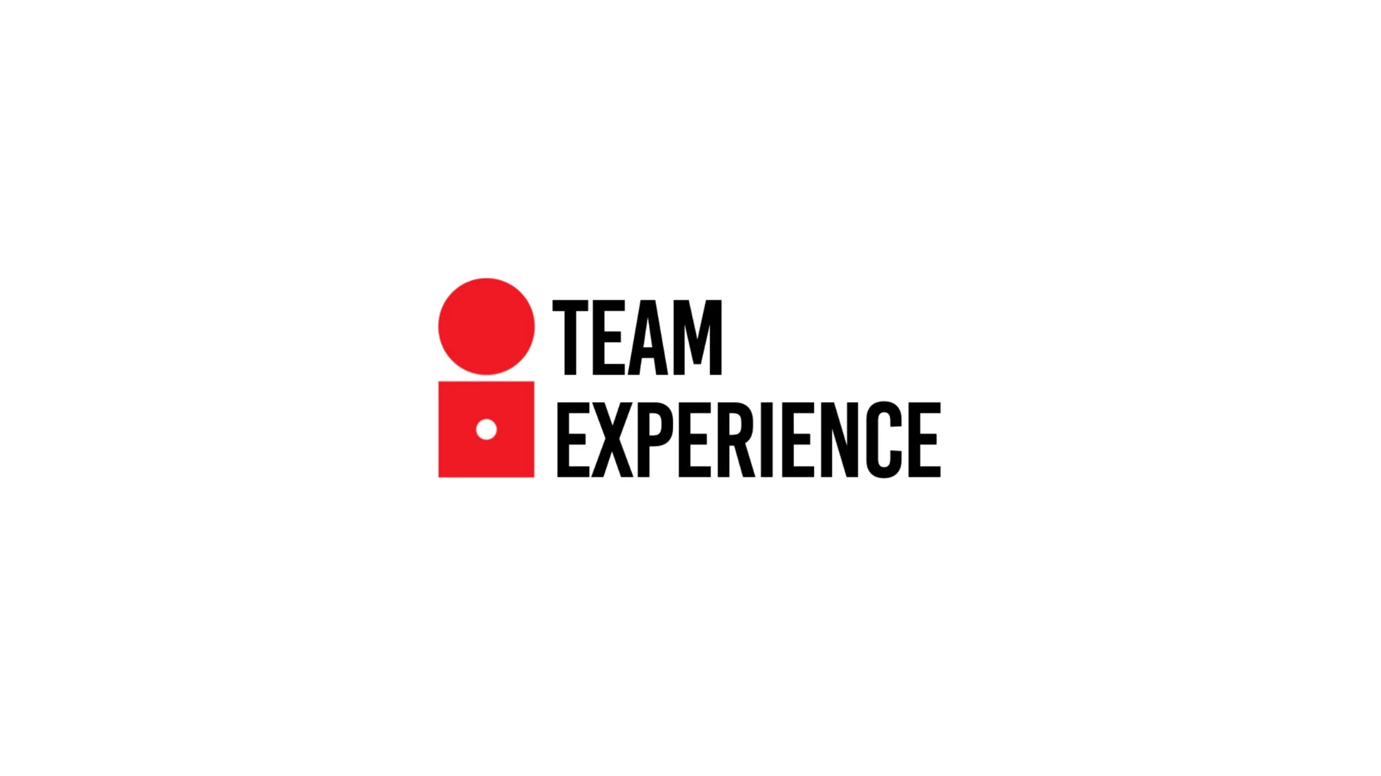 Team Experience